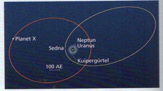 planet x medium frame size